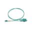 Picture of Schneider ACTFP2CL1M35M30 Ethernet Patch Cable