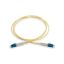 صورة كابينة شبكة Schneider ACTFP2L1S19S10 Ethernet cable network cable