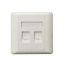 Picture of EXTFP-LGM02 EXTREME TECH double port Aluminum alloy style Faceplate - Network Accessories
