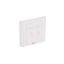 Picture of LEGRAND Straight faceplate 2 ports for keystone RJ45 connector ( 632795 ) - Network Accessories