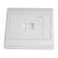 صورة FACE-RJ-1P 1 Port RJ45 Cat5e Face Plate Wall Socket