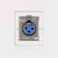صورة FACE-XLR 1 Port Female XLR Connector Wall Plate Socket Keystone Faceplate