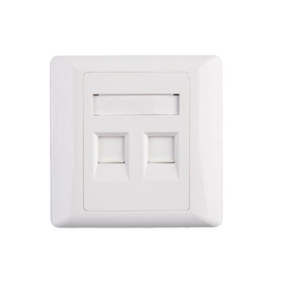 Picture of FACE-RJ-2P 2 Port RJ45 Cat5e Face Plate Wall Socket