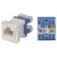 Picture of Cat6 RJ45 Punch-Down Keystone Jack