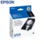 Epson T013 Black Original Ink Cartridge
