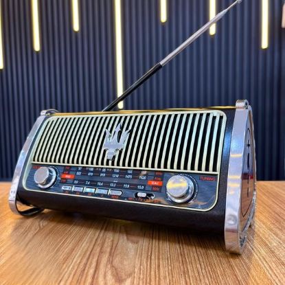 Picture of Solar Radio Speaker