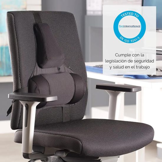 Picture of Fellowes Professional Series Ultimate Back Support - 3 Memory Foam Sections with Microban Protection, Black